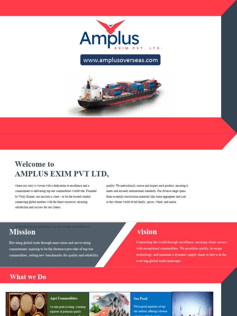 Company Profile Amplus Exim 3.0 | PDF | Economies