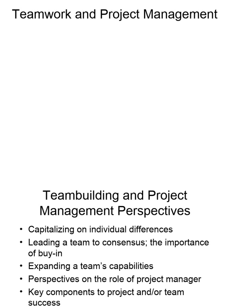 Teamwork Strategies in Project Management | PDF | Expert | Implementation