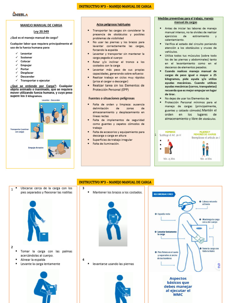 Instructivo N°3 - Manejo Manual de Carga | PDF