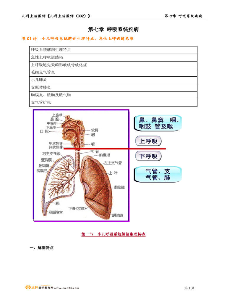 8.讲义儿科主治医师（332） 强化精讲费一第七章呼吸系统疾病| PDF, image size:768x1024