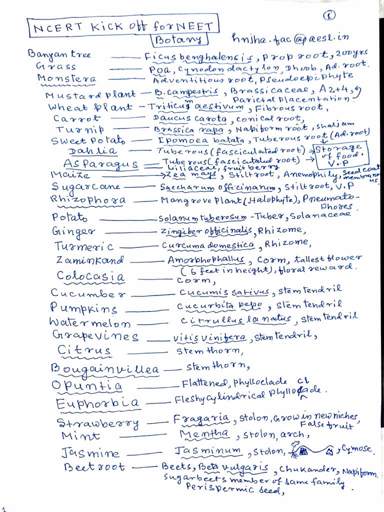 NCERT Guide to Plant Types for NEET | PDF | Plants | Botany