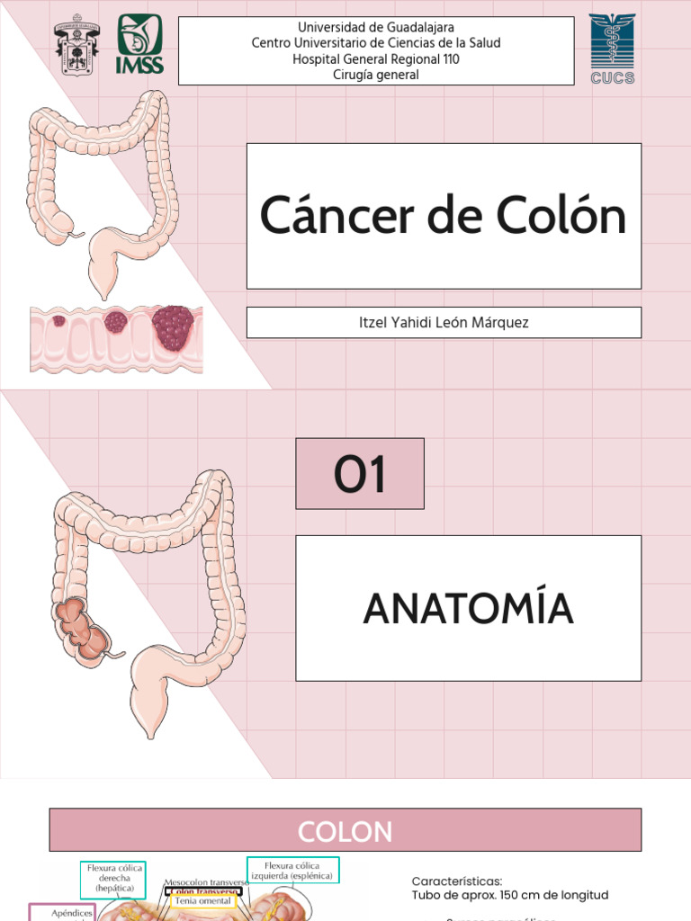 Cáncer de Colon: Anatomía y Diagnóstico | PDF | Cáncer colonrectal ...
