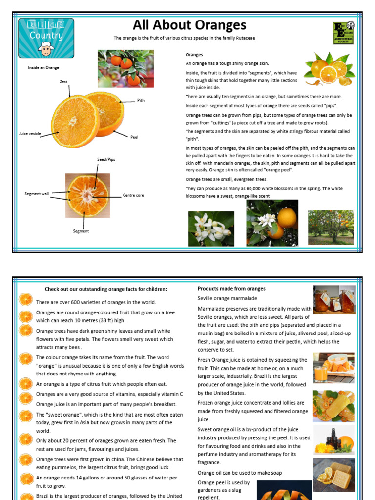 Orange Fruit: Varieties and Uses | PDF | Orange (Fruit) | Juice