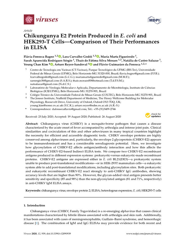 chikungunya-e2-protein-produced-in-e-coli-and-hek293-t-cells