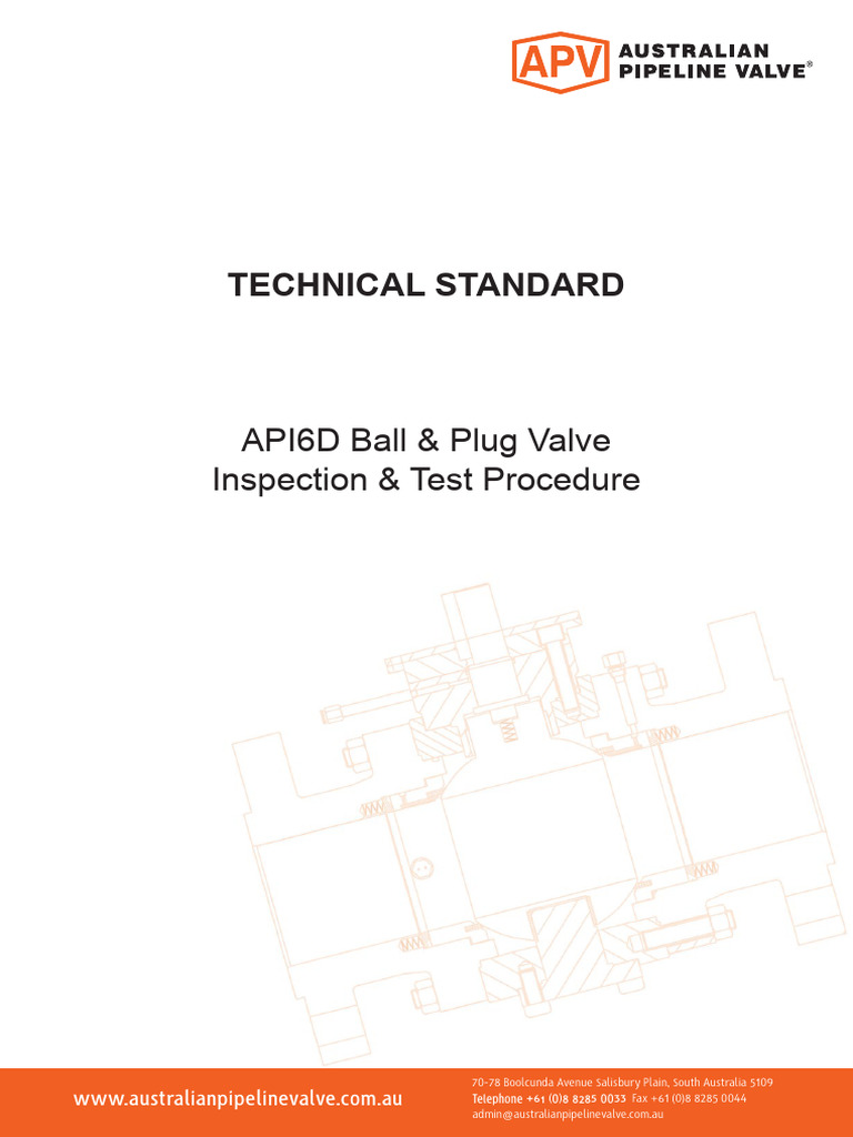 API6 DValve Inspection Test | PDF | Valve | Leak
