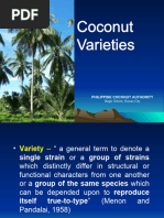 Coconut Varieties: Tall vs Dwarf | PDF | Coconut | Botany