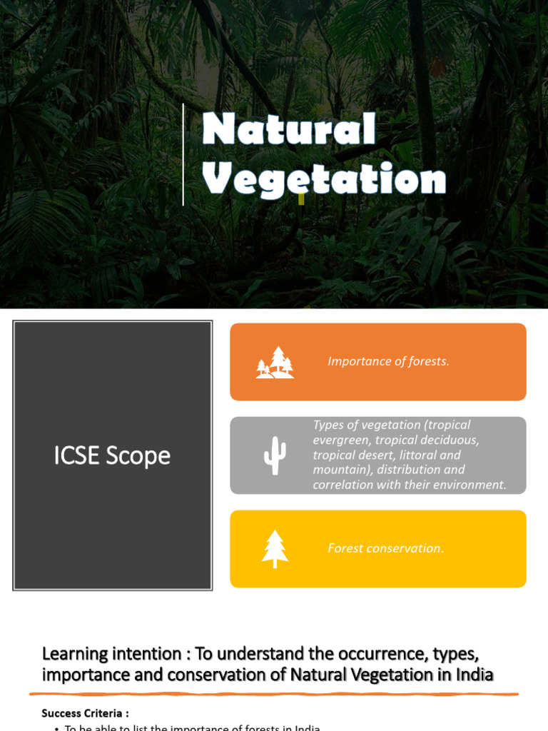 Natural Vegetation and Forests in India | PDF | Trees | Forests
