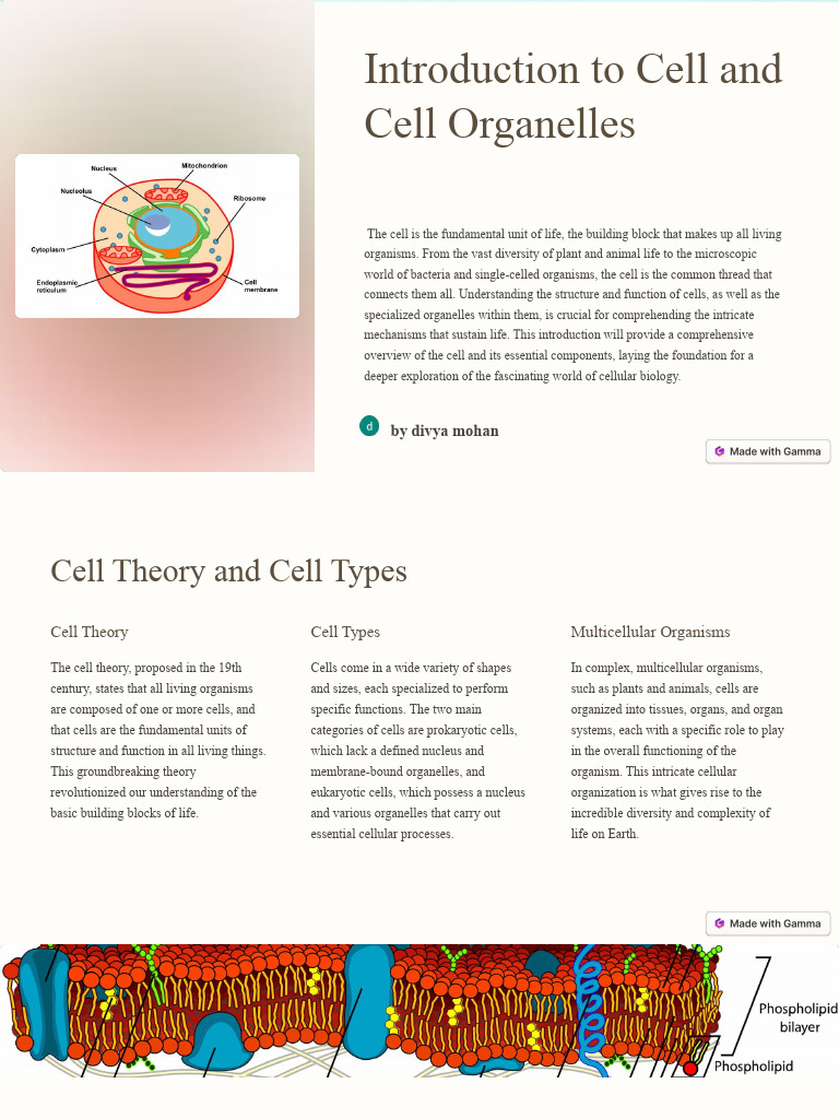 Overview of Cell Structure and Functions | PDF | Endoplasmic Reticulum ...