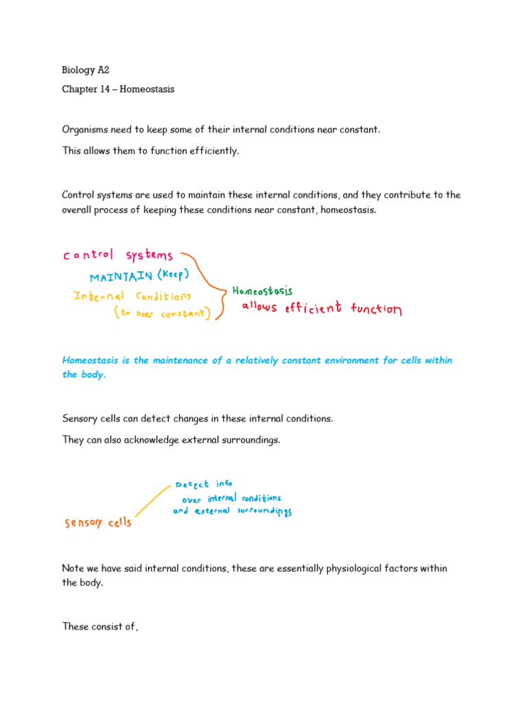 Homeostasis and Control Systems in Biology | PDF | Kidney | Biology