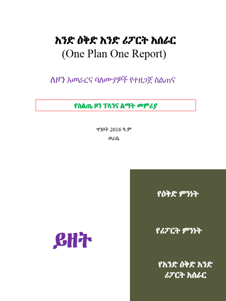 One Plan One Report and Project Evaluation | PDF