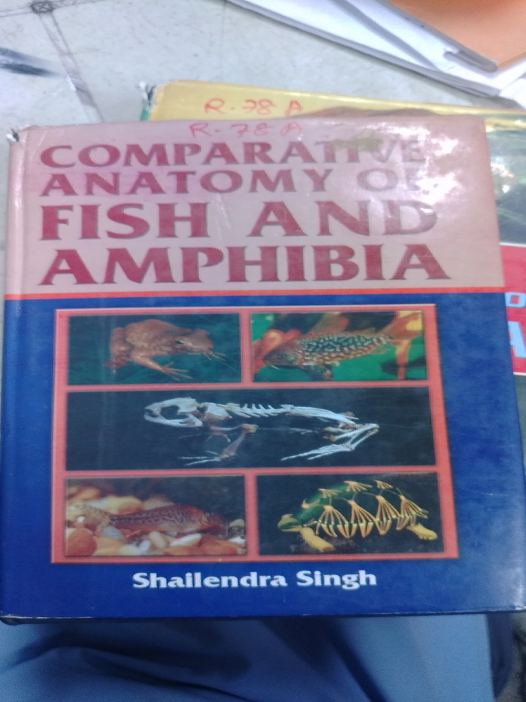 amphibia_104138 | PDF | Hand | Thumb