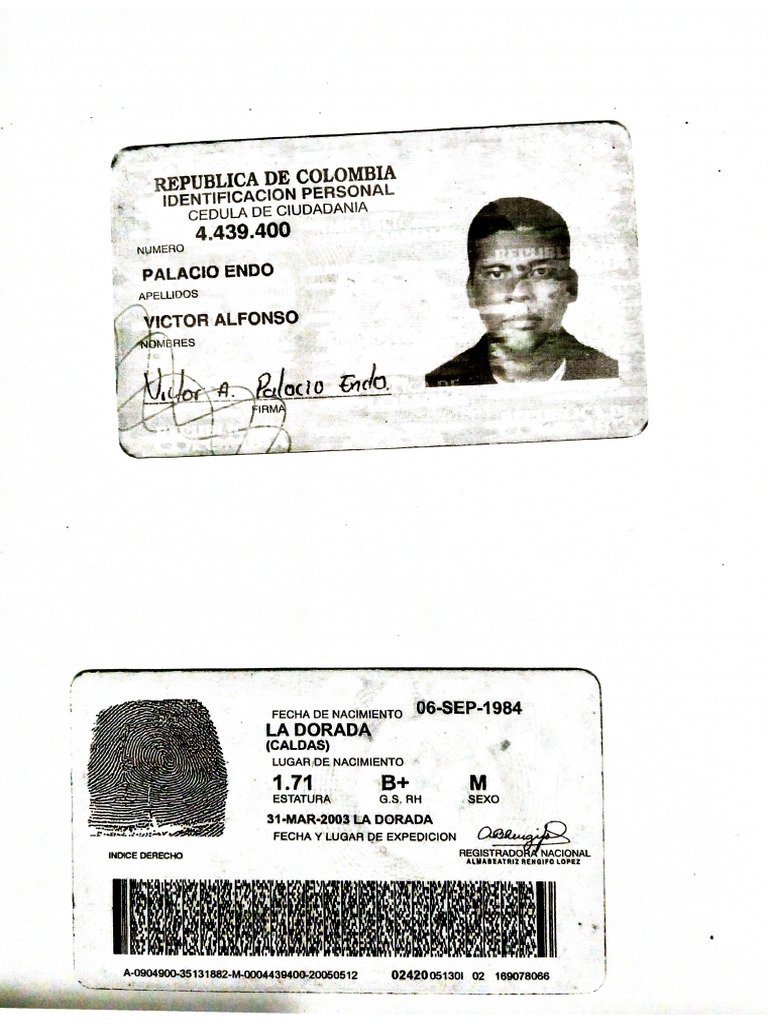 Documento 125 | PDF
