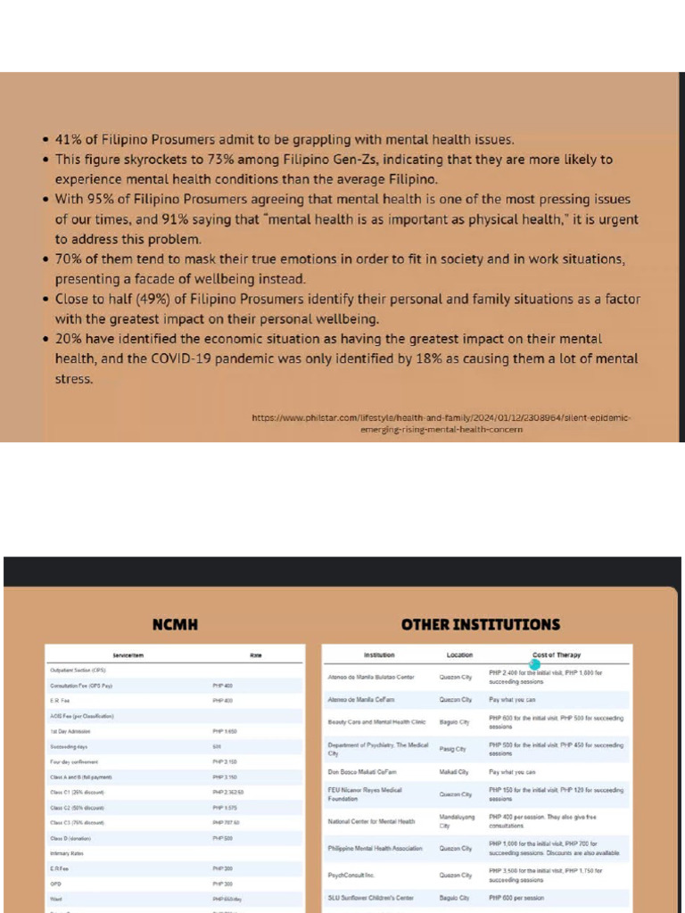 Creation of Mental Health Program | PDF