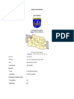 Profil Kota Depok (Revisi)