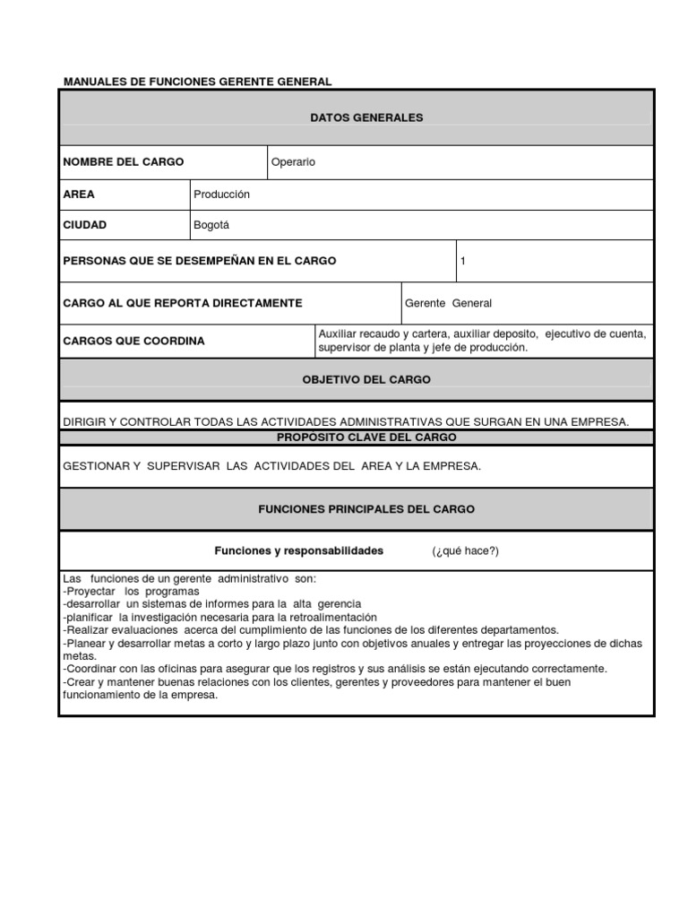 Manual de Funciones Gerente General | PDF