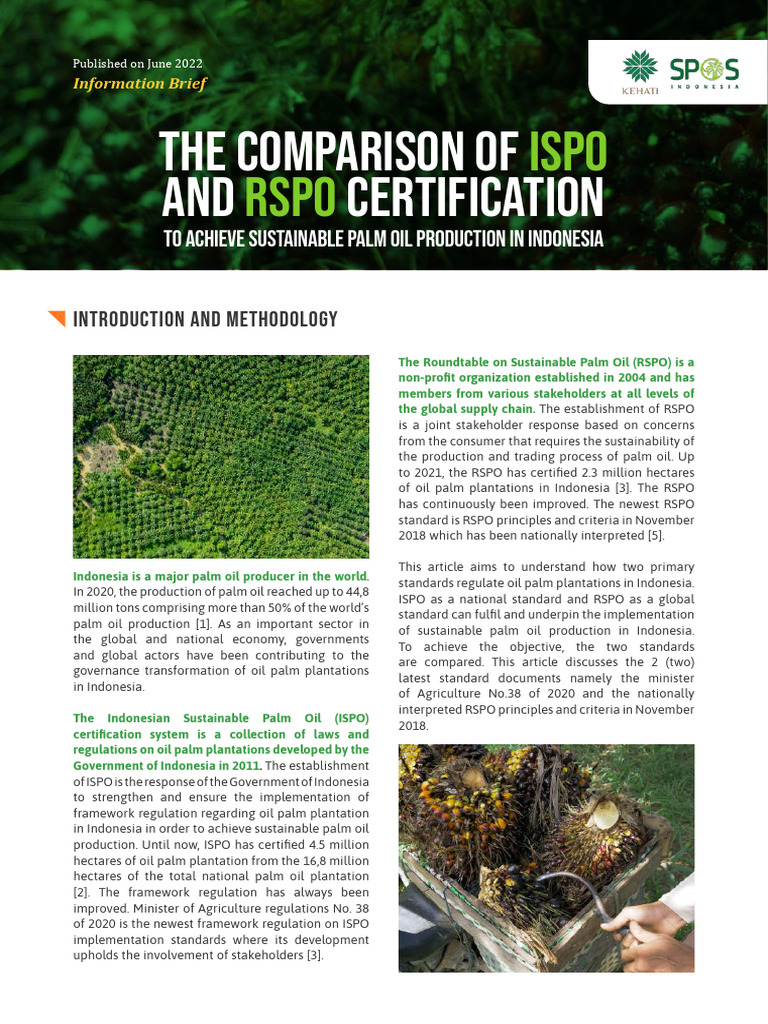 The Comparison of ISPO and RSPO Certification-2 | PDF | Deforestation ...
