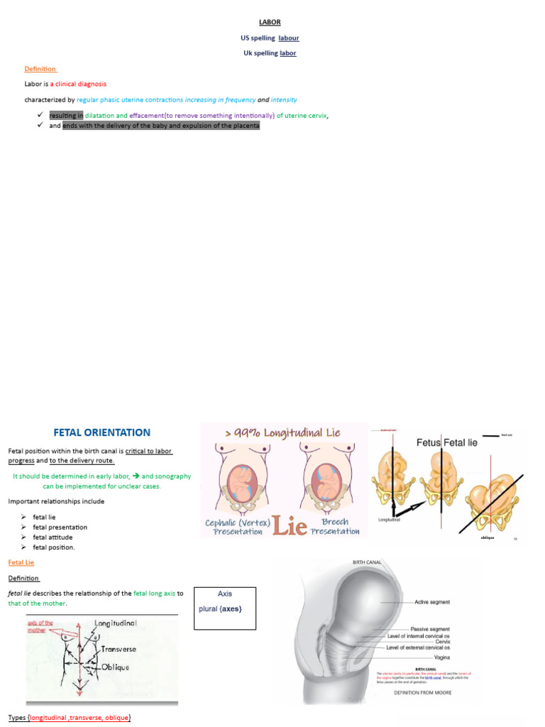 labor | PDF | Childbirth | Anatomical Terms Of Motion