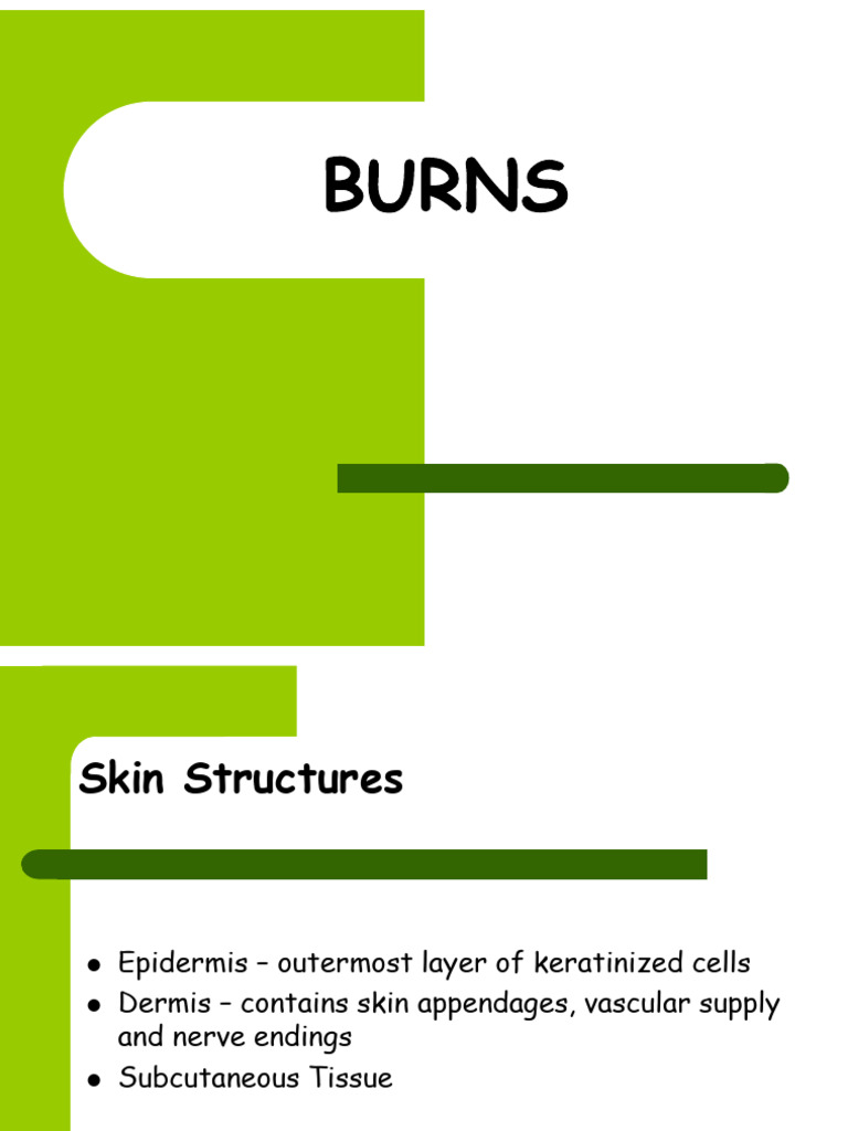 Burn Skin Description