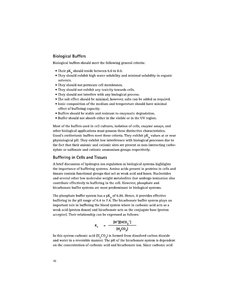Buffer Notes | PDF