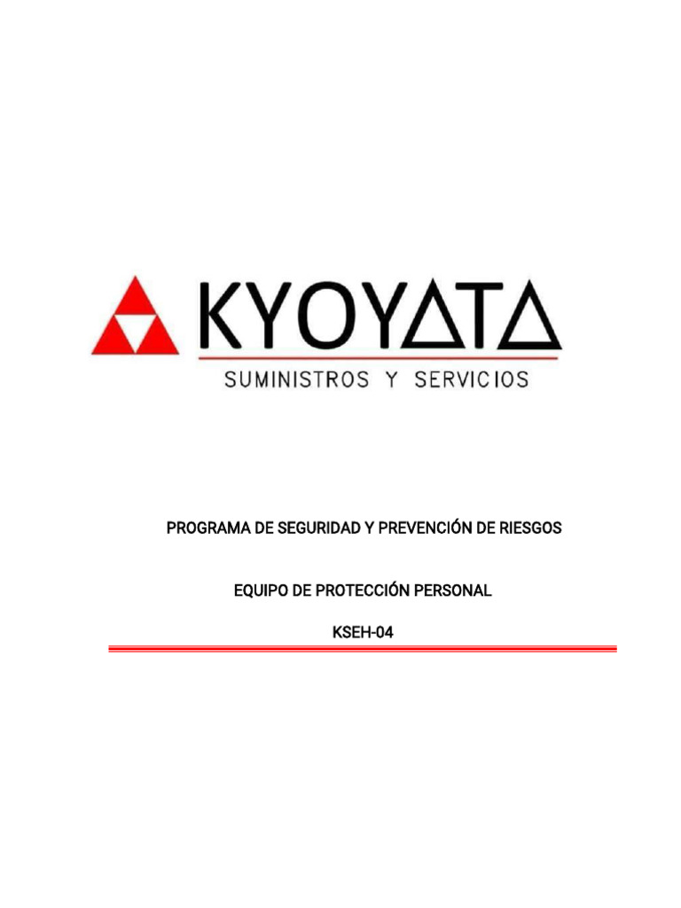 Programa de EPP y Prevención de Riesgos | PDF | Equipo de protección ...