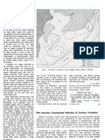 Rather, Periods: Mus Musculus: Induction Territory