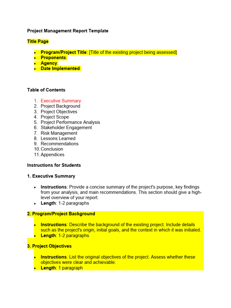 Project Management Report Template | PDF | Project Management | Risk ...