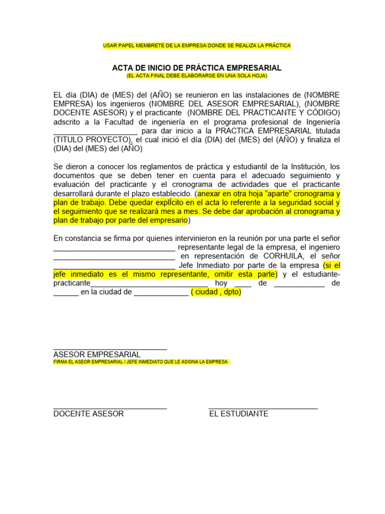 Acta de Inicio | PDF | Negocios