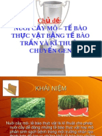 Bai Giang Nuoi Cay Mo Te Bao Thuc Vat Bang Te Bao Tran Va Ki Thuat Chuyen Gen