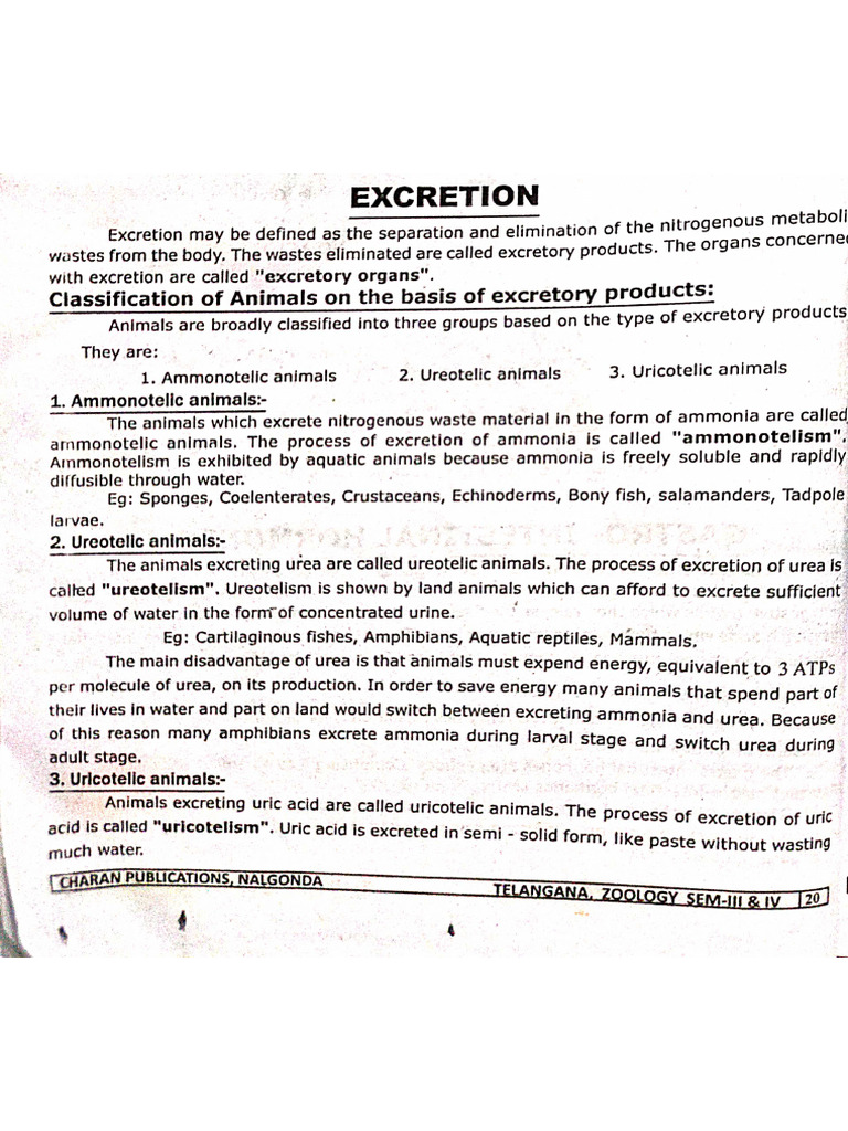 Excretion Pdf