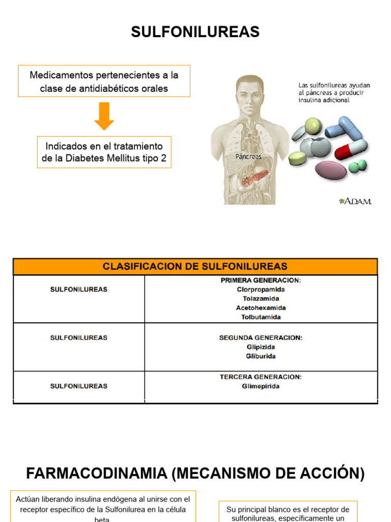 Mecanismo de acción de sulfonilureas | PDF | Especialidades Medicas ...