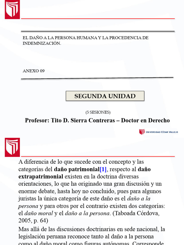 Diferencias entre daño moral y a la persona | PDF | Moralidad | Bienes ...