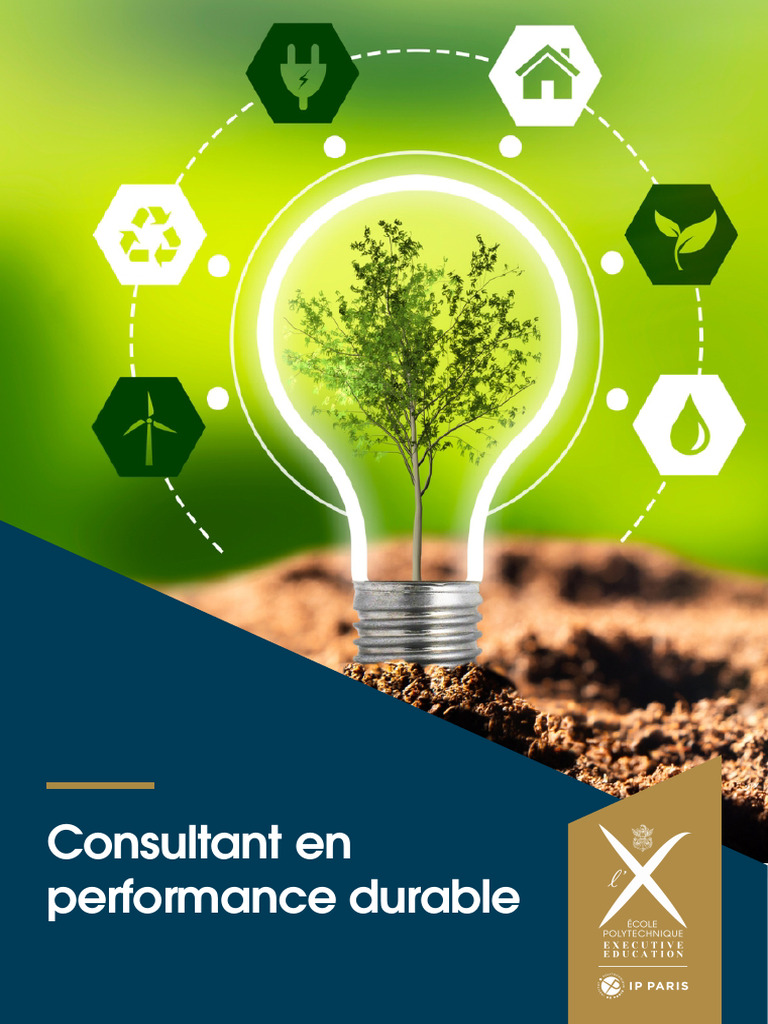 Formation Consultant Performance Durable | PDF | Développement durable ...