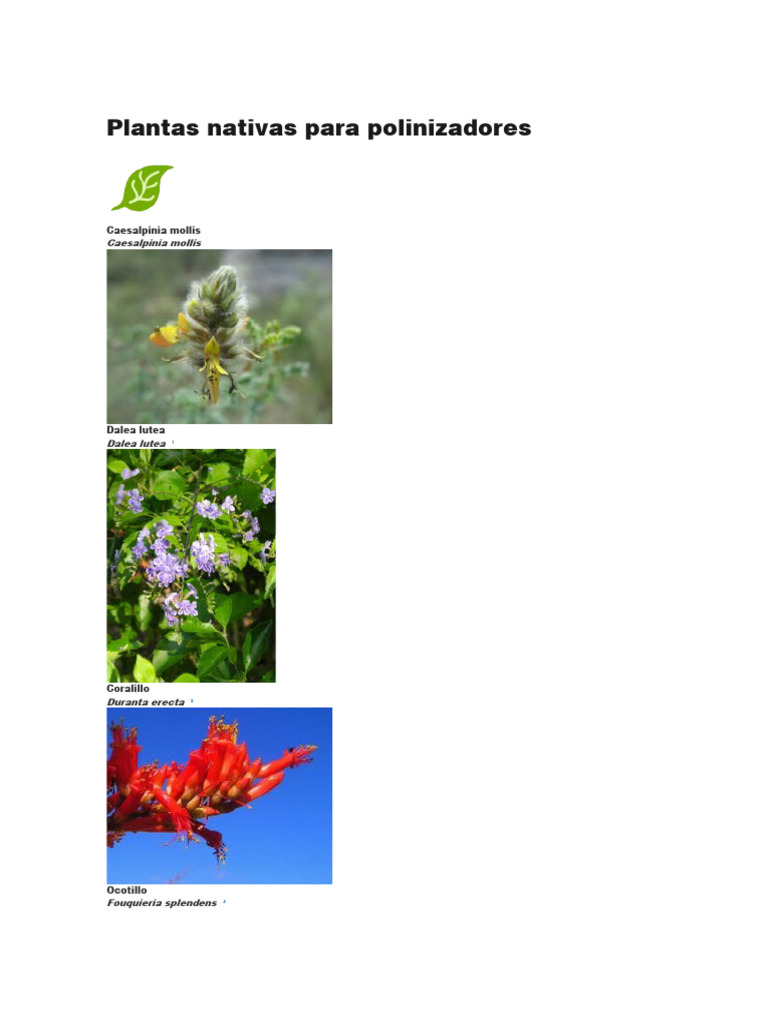 Plantas Nativas para Polinizadores | PDF | Plantas | Botánica
