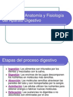aparato_digestivo (1) (2)