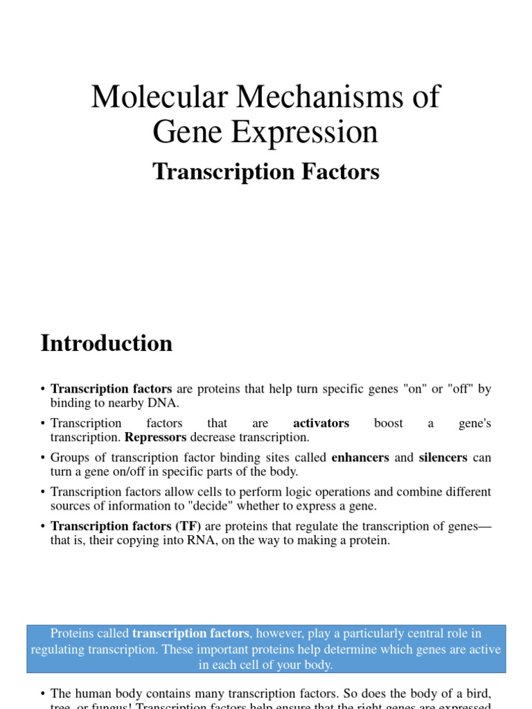 Transcription Factors Pdf Transcription Factor Promoter Genetics