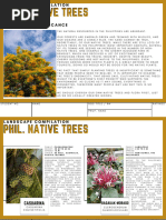 Endemic Trees of the Philippines | PDF | Ficus | Botany