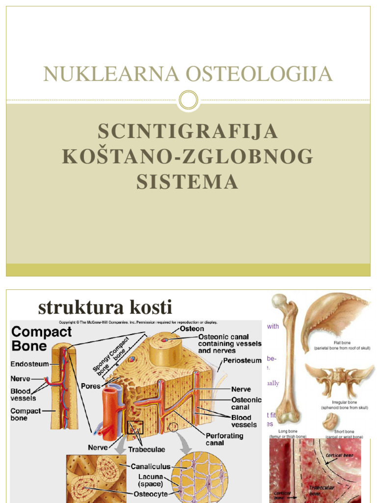Osteologija | PDF