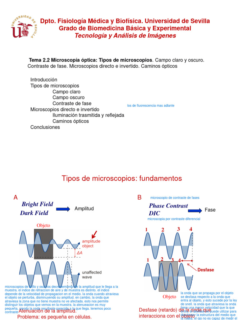 Tema 2.2 Microscopía Óptica | PDF | Ligero | Difracción