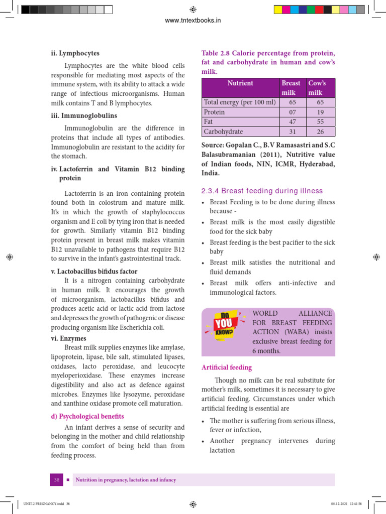 Nutrition for New Mothers & Infants | PDF | Breast Milk | Foods