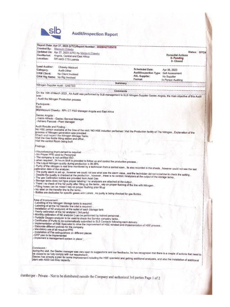 AuditInspection Report | PDF