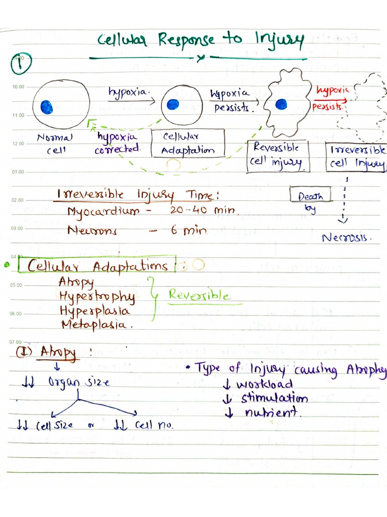 General Cell Injury | PDF