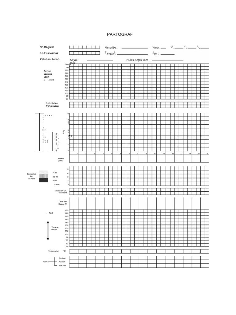 Contoh Format Partograf Kosong | PDF