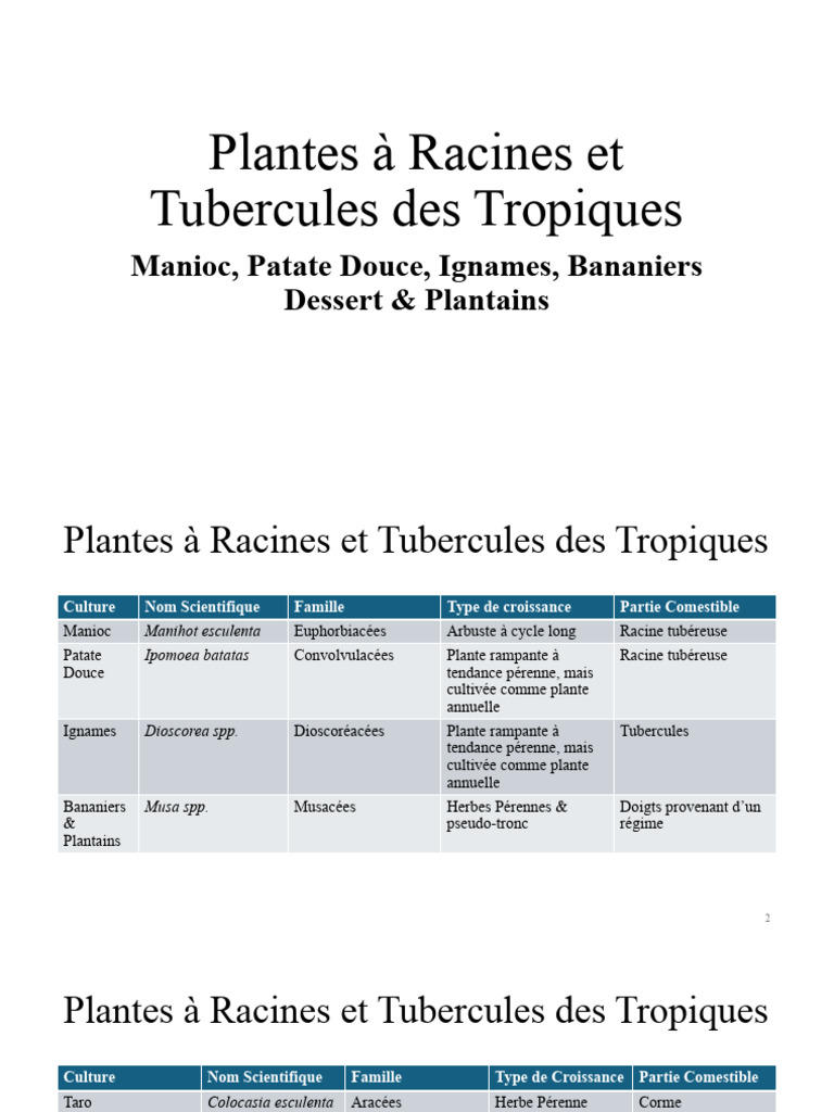 Plantes à Racines Et Tubercules Des Tropiques | PDF | Amidon | Indice ...