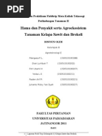 MAKALAH TANAMAN BROKOLI MAKALAH TANAMAN BROKOLI