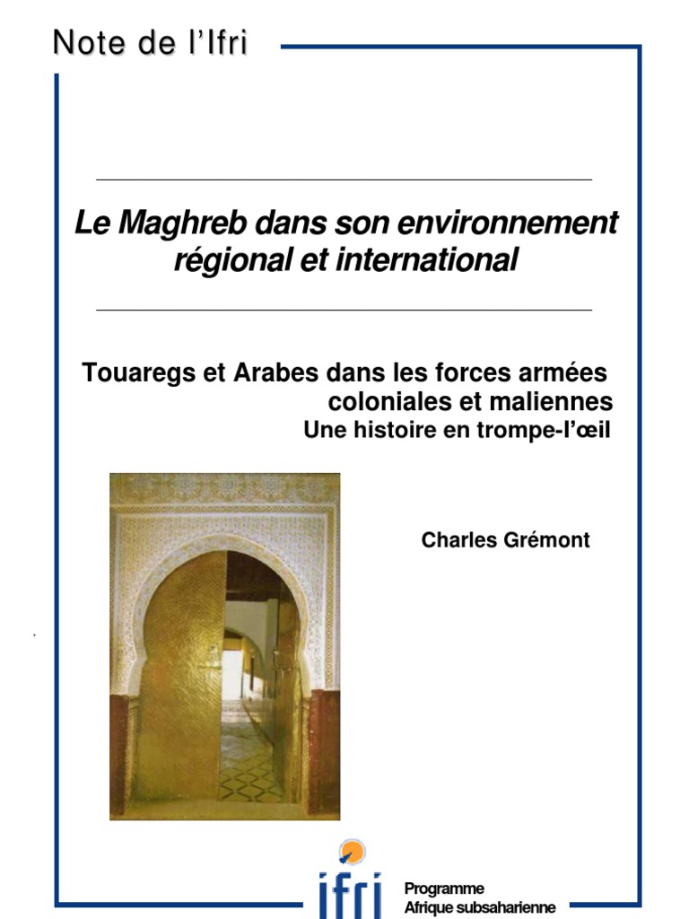 JIM / LES ARMEES COLONIALES / LE SAHARA : TRES BEAU MEHARISTE Arabe Berbère
