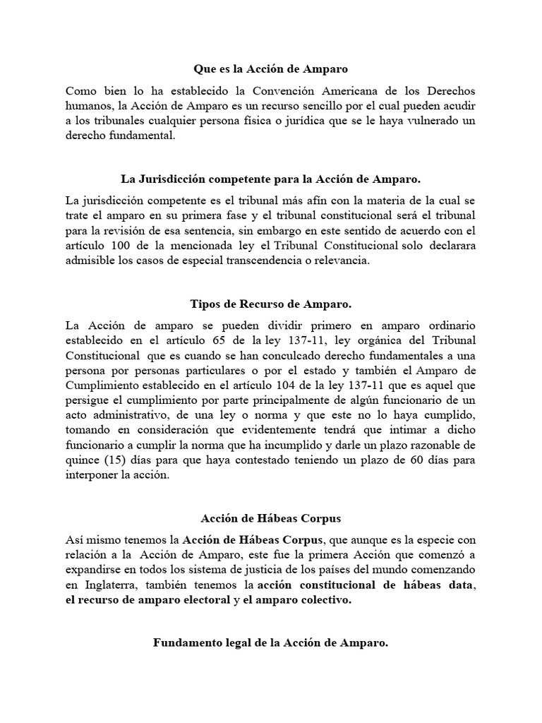 Acción de Amparo | PDF | Derecho Constitucional | Habeas corpus