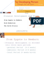 Prenatal Development and Birth: From Zygote To Newborn Risk Reduction The Birth Process