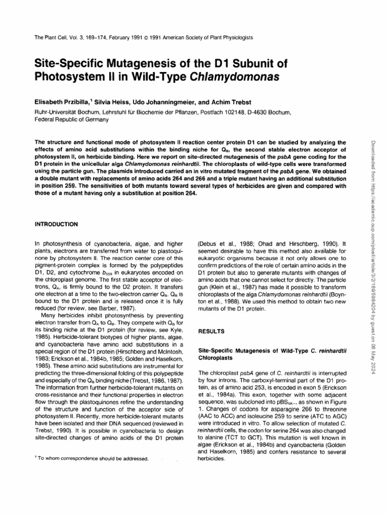 Plcell v3 2 169 | PDF | Mutation | Proteins