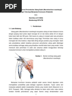 Download Meningkatkan Performa Pertumbuhan Udang Galah by robi binur SN75440756 doc pdf