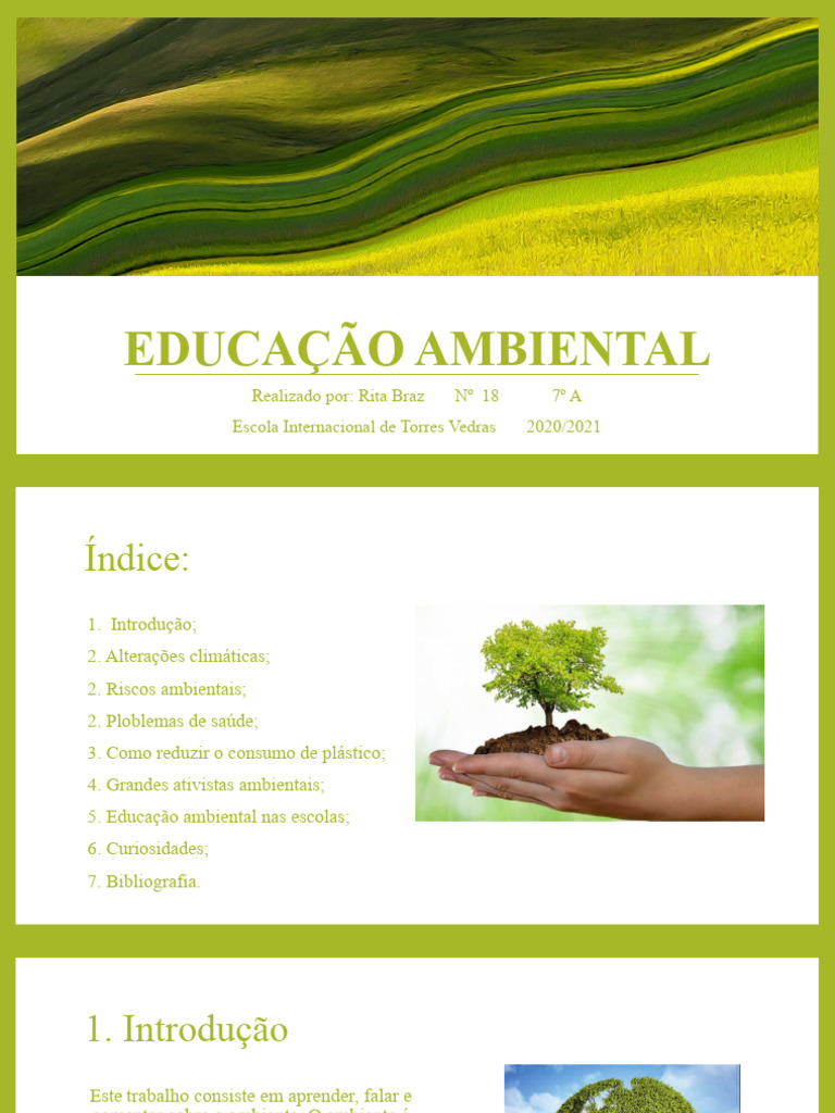 Educação Ambiental e Sustentabilidade | PDF | Ambiente natural ...